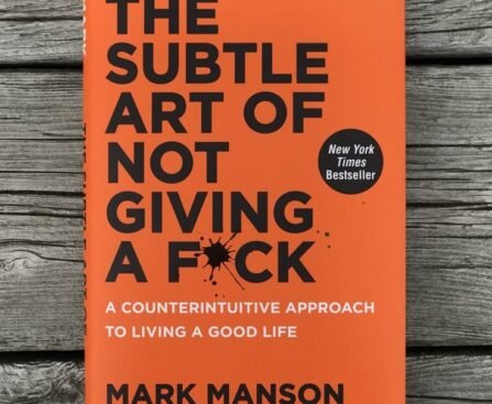 The Subtle Art of Not Giving a F*ck Book Summary and Lessons (Mark Manson Guide)